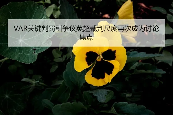 VAR关键判罚引争议英超裁判尺度再次成为讨论焦点